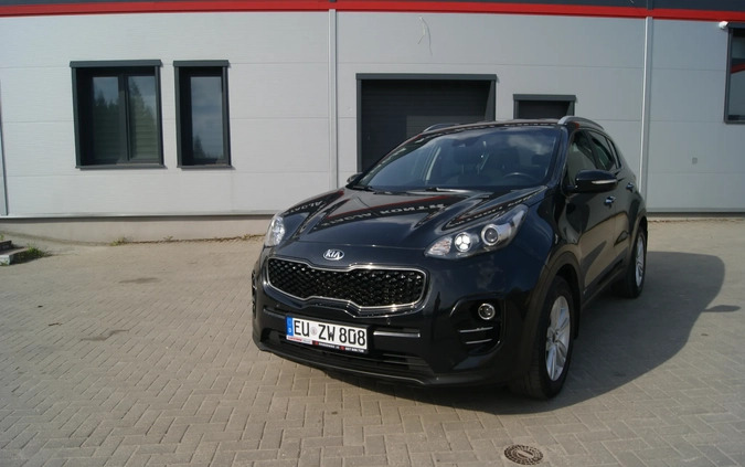 Kia Sportage cena 69500 przebieg: 184258, rok produkcji 2016 z Śmigiel małe 436